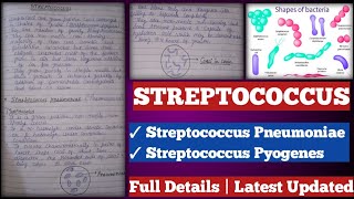 Streptococcus  streptococcus Pyogenes  streptococcus pneumoniae [upl. by Undine]