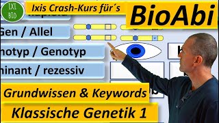 klassische Genetik 1a Grundwissen und Keywords [upl. by Atsirak]