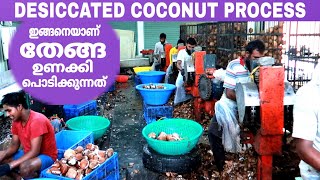 തേങ്ങ ഉണക്കി പൊടിക്കുന്ന മനോഹരമായ കാഴ്ച്ച😍  Desiccated Coconut Powder Process FZ ROVER  Malayalam [upl. by Steffi]