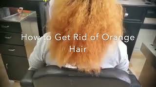 Got Orange Hair Watch This Hair By Hair Factory NYC [upl. by Jesse348]