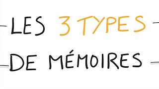 Neurosciences  Vos 3 Types de Mémoires [upl. by Eolanda]