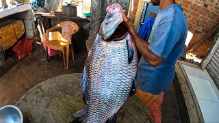 20Kg Live Big Catla Fish Cutting Mastering the Art of Excellent Big Catla Fish Cutting Sri Lankan [upl. by Cora]