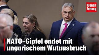 Ungarischer Wutausbruch NATOGipfel endet mit heftigem Eklat [upl. by Meg]