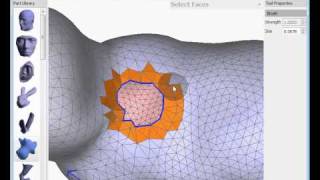 Fixing Topology Errors in meshmixer [upl. by Sellma625]