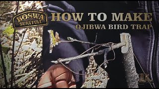 How to make an ojibwa bird trap [upl. by Regine]