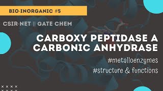 Carboxy peptidase A  carbonic anhydrase  bioinorganic Chemicos academy [upl. by Godiva]