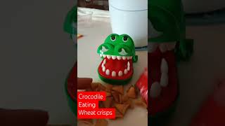 crocodile eating wheat crisps Asmr satisfying youtubeshorts trending viralvideo shorts short [upl. by Johnston]