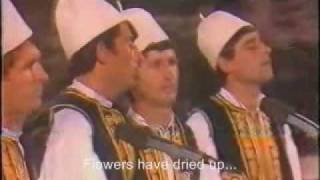 Flaka Mbuloi Fshane Albanian folk music with English subtitles [upl. by Salocin]