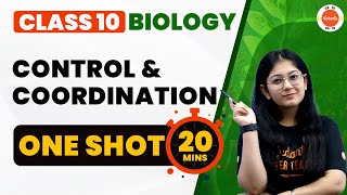 Control and Coordination Class 10 One Shot in 20 Mins  NCERT Biology Class10 Chapter 2  CBSE 2024 [upl. by Spieler118]