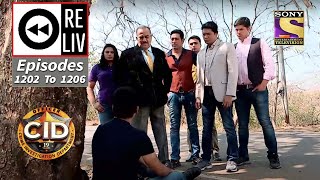 Weekly Reliv  CID  सी आई डी  Episodes 1202  1206 [upl. by Prima]