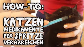 HowTo Katze Medikament mit Spritze geben zB bei Niereninsuffizienz  Diabetes [upl. by Luht]