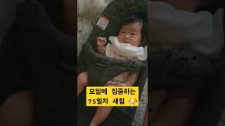 타이니 모빌에 집중하는 아기의 눈 😺 타이니모빌 babybjorn 2개월아기 [upl. by Oirom]