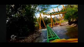 Cheetah Hunt Busch gardens Tampa [upl. by Anigue945]