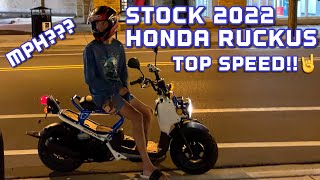 Stock 2022 Honda Ruckus Top Speed [upl. by Elfrida]