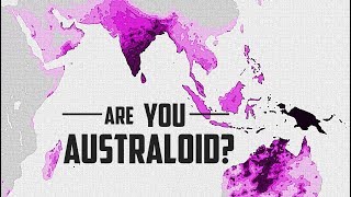 Who Exactly is an AustraloidVeddoid [upl. by Ferne930]