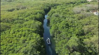 Estero El Salado en Puerto Vallarta reabre sus puertas mejor que nunca [upl. by Ateikan]