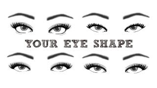 Finding Your Eye Shape  TheMakeupChair [upl. by Einwat]