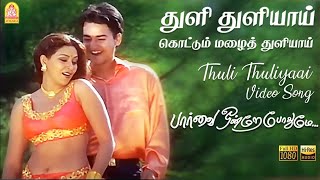 Thuli Thuliyaai Kottum Mazhai  HD Video Song  Paarvai Ondre Pothume  Kunal  Monal  Bharani [upl. by Annauj957]