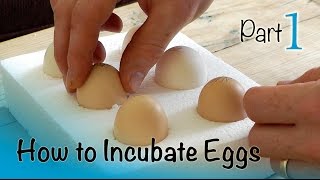 How to Incubate and Hatch Eggs  Part 1 of 3  Setting up the Incubator [upl. by Triley]