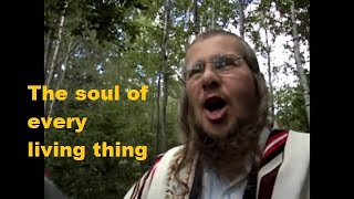 The Soul of Every Living Thing  Rabbi Yonassan Gershomwmv [upl. by Sosthena]