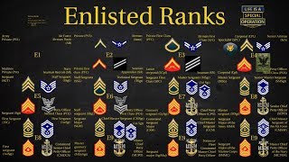 US Military All Branches ENLISTED Ranks Explained [upl. by Barmen]