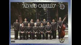 04 El Andariego  Rondalla Álvaro Carrillo [upl. by Koralle665]