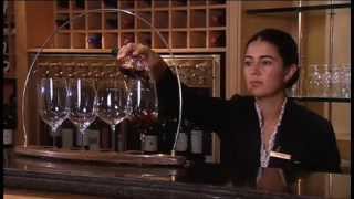 Discover The Wines of Chile Part 1 of 2 [upl. by Dexter]