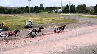 Non Whip Race Amman Valley 13th July 2024 [upl. by Dublin45]