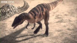 Carcharodontosaurus  Planet Dinosaur  Episode 1  BBC One [upl. by Buckley]