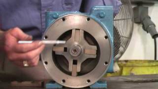 Blackmer Sliding Vane Pump Demonstration [upl. by Lashonde368]