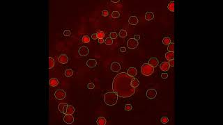 Segmenting Disintegration of a Lysosome  yolov8 [upl. by Bina]