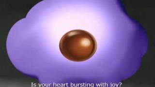 क्या DAIRY MILK में सुअर होता है  How Is Cadbury Chocolate Made in Factory [upl. by Charissa493]