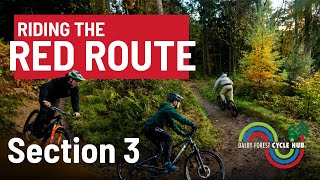 Mountain Biking In Dalby Forest Red Route – Section 3 [upl. by Ainesell]