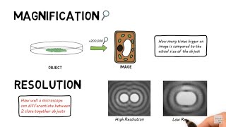 Microscopes Comparison  A Level Biology AQA with Summary Table [upl. by Moule]