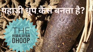 Himalayan Guggul Dhoop  पहाड़ी धूप कैसे बनता है  Making of desi Pahadi dhoop in 2 minutes [upl. by Joo]