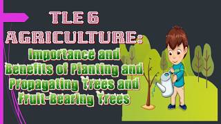 TLE 6 AG  Importance and Benefits of Planting and Propagating Trees and FruitBearing Trees [upl. by Aleit]