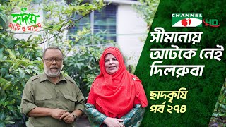 বনশ্রীর দিলরুবার ছাদকৃষি  পর্ব ২৭৪  Shykh Seraj  Channel i [upl. by Chaney]