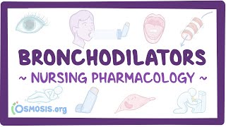 Bronchodilators Nursing Pharmacology [upl. by Nedroj]