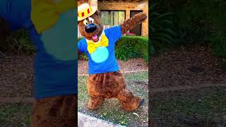 Humphrey B Bear dances for The Leukaemia Foundation [upl. by Irac]