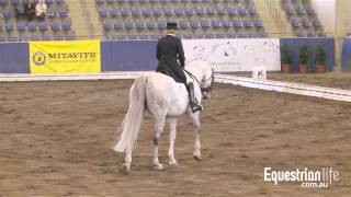 Ann Slatford and Silvery NSW State Dressage Championships Grand Prix Freestyle [upl. by Coopersmith]