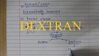 21 Dextran Polysaccharide [upl. by Ahsauqal]