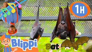 Blippi the Bat Song  1 Hour of Classic BLIPPI Songs  Educational Songs For Kids [upl. by Cir808]