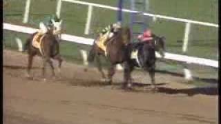 Top 10 Breeders Cup Moments [upl. by Osher417]