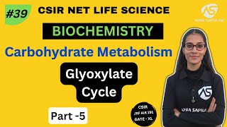 Glyoxylate Cycle  Carbohydrate Metabolism  NETLIFESCIENCE [upl. by Leavelle]