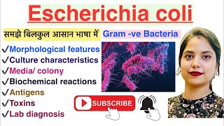 Escherichia coli in Hindi  Lab diagnosis  Pathogenicity  MLT  Nursing  Pharmacy [upl. by Malda418]