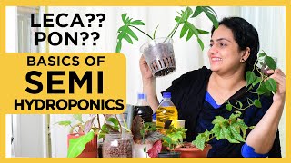 Semi Hydroponics  Basics How to  Tips amp Tricks  Soilless Medium  Nutrient Water for Hydroponics [upl. by Teddi]