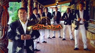 QUE TONTO FUI  ALBERTOS MUSICAL Official Music Video ciudad [upl. by Seaddon]