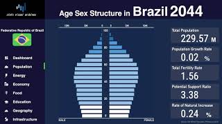 Brazil  Changing of Population Pyramid amp Demographics 19502100 [upl. by Cassondra]