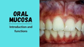 Oral Mucosa  Functions of Oral Mucosa [upl. by Odrude]