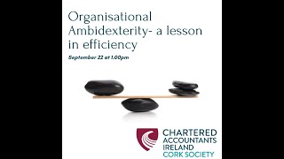 Organisational Ambidexterity a lesson in efficiency [upl. by Erasme]